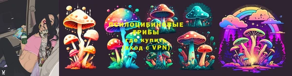 spice Кинешма