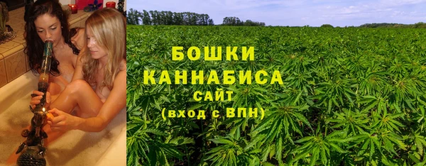 spice Кинешма